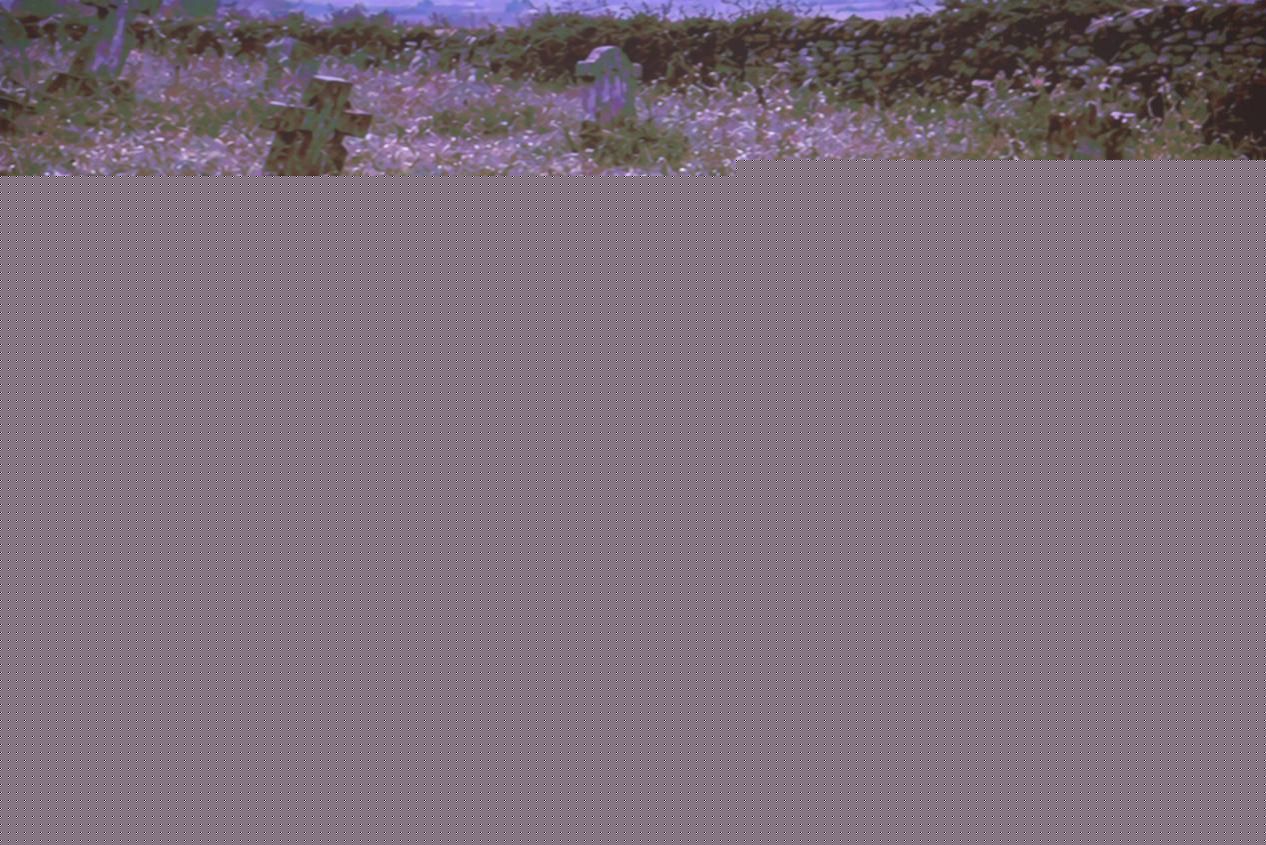 D2F67202E894B480BFB0A25C295_D89AEDF1_28133